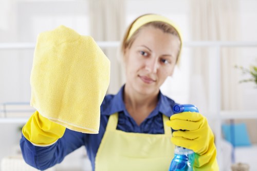 Professional carpet cleaning in a Footscray home