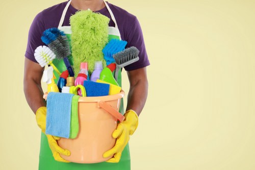 Professional pet stain odour removal in Footscray for carpets