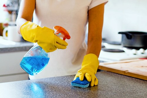 Carpet treatment for pet urine stains in Footscray