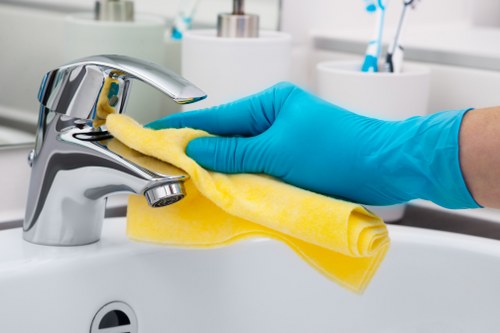 Deep cleaning for pet odours in a Footscray home