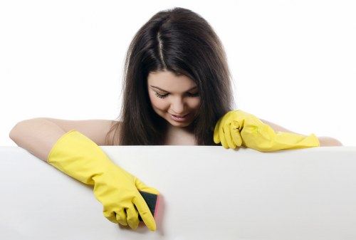 Deep cleaning process for a bedroom mattress