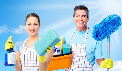 Upholstery cleaning to remove pet smells in Footscray