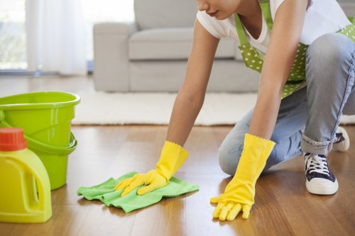 Cleaning technician assessing carpet care requirements